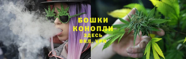 мдпв Чердынь