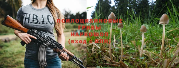 мдпв Чердынь