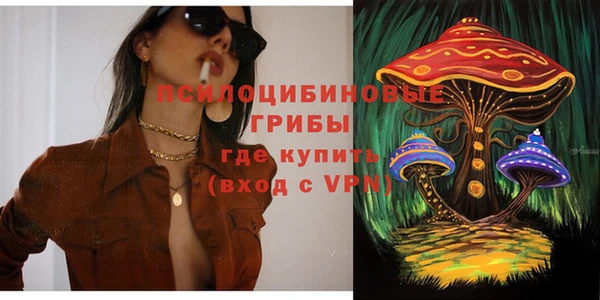СК Чекалин