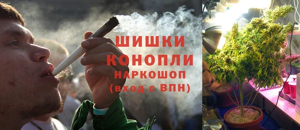 СК Чекалин