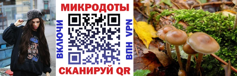 Купить закладки  Жирновск  Псилоцибиновые грибы мицелий 